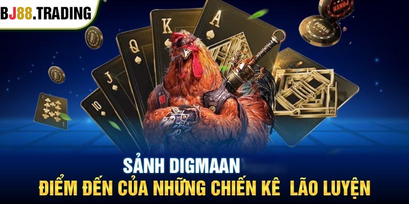 Đa dạng kiểu chọi hay