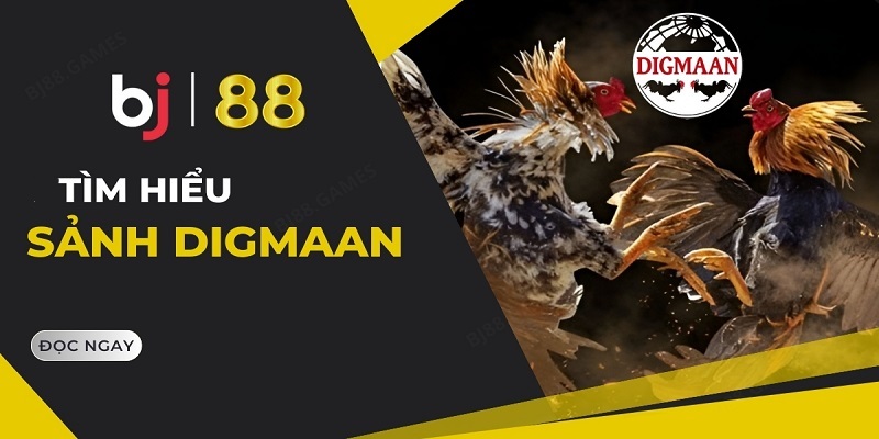 Đôi nét về sảnh Digmaan BJ88