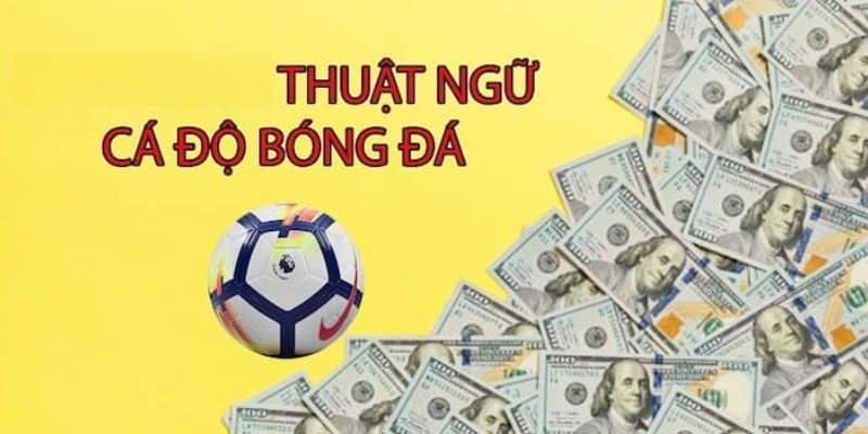 Giải thích các thuật ngữ cá độ bóng đá BJ88