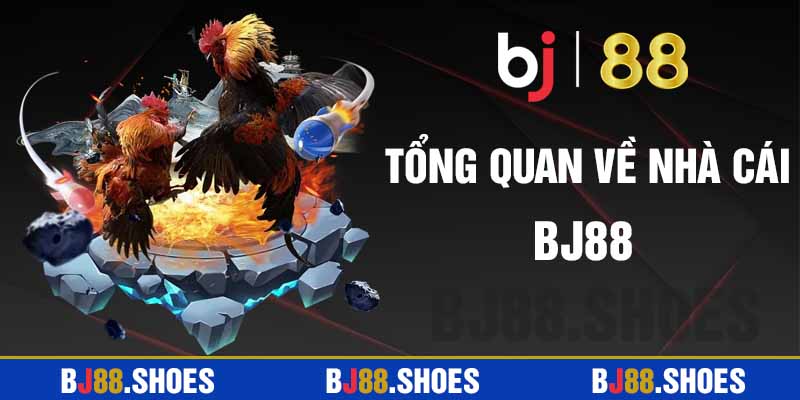 Thời gian ra đời của BJ88 cá cược trực tuyến